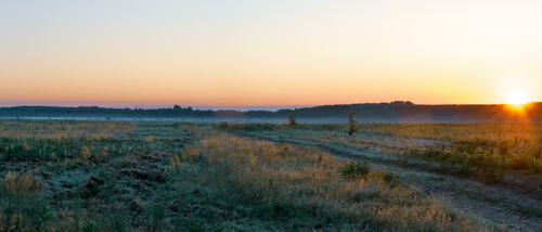 Foggy morning